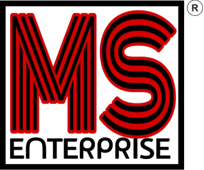 MS Enterprise